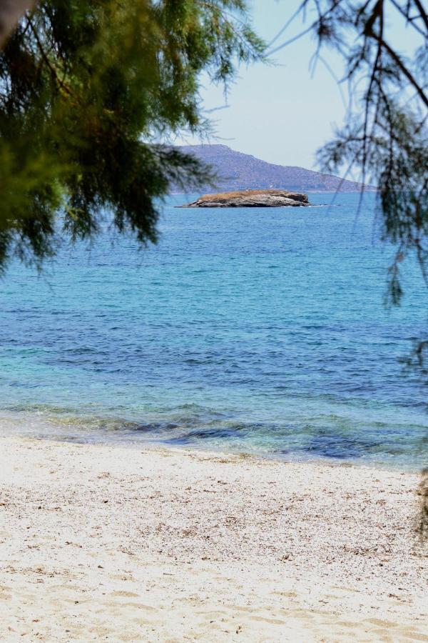 Beach House Set In A Beautiful Bay كاريستوس المظهر الخارجي الصورة